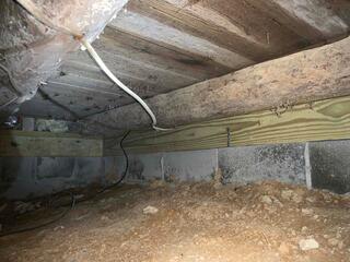 Mold and Mildew Growth on Floor Joists
