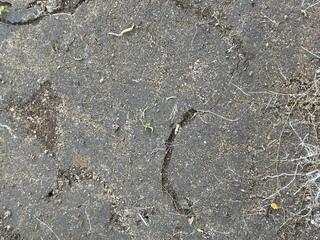 Right underneath the stone pathway!