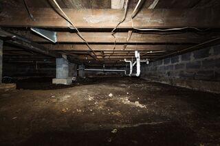 Damp conditions created the perfect environment for mold to spread.