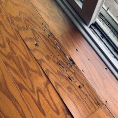 The termites really did a number to the hardwood floor!