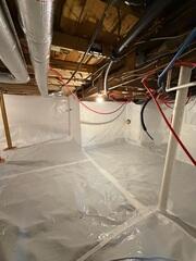 CleanSpace