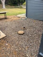 After photo of back yard, with french drain install completed.
