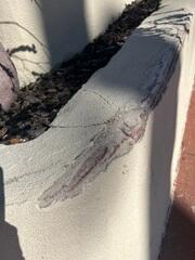 Visible cracking and separation along the exterior stucco surfaces revealed ongoing foundation settlement at this historic San Diego home. Soil movement and voids beneath the foundation caused structural shifting that affected the surrounding exterior features. Saber Foundation & Concrete Repair addressed the settlement using helical piers and PolyLevel® foam injection to restore structural stability and protect the home from future damage.