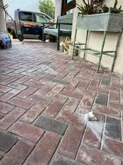Helical Pier Foundation Repair & Deck Stabilization in San Diego, CA