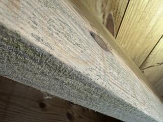 This photo shows exposed wood surfaces affected by years of moisture exposure, resulting in discoloration, staining, and visible organic growth. These conditions are commonly found in damp crawl spaces and can leave wood looking aged and neglected