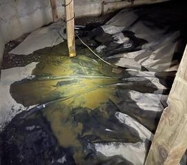 Very wet crawl space with standing water.