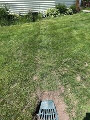 LawnScape Outlet: Provides a clean, low-profile exterior discharge point that directs water safely away from the foundation.
