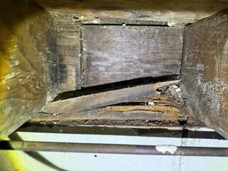 Structural Wood Repair & Foundation Support Restoration in Massapequa, NY