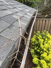 Gutter Replacement Due to Severe Clogging