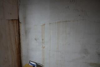 Cracks in the walls allowing water through.