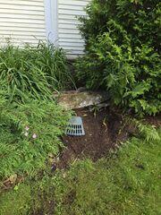 Basement Waterproofing in Belvidere, Vermont | Matt Clark's Northern Baseme...