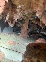 Before the Crawl Space Encapsulation