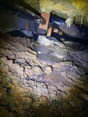 Water Flooding Crawl Space in Portland, OR