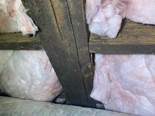 Extreme mold growth was present on the flooring system.