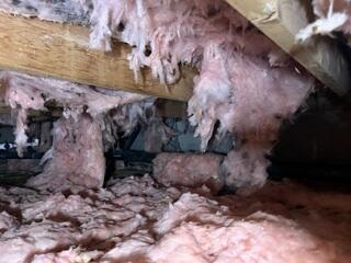 Fiberglass insulation drapes across the crawl space floor while falling from the sub-floor of this crawl space.