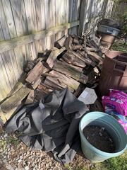 They were harboring in this pile of firewood!