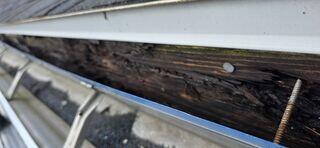 Reducing Seasonal Gutter Maintenance with the RainDrop Gutter Guard System ...