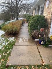 The walkway where the slabs have sunken