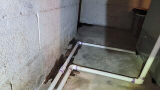 The basement had a wall leak directly behind the furnace by the condensate lines.