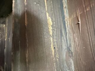 There were multiple areas of the shed that had severe damage to it.