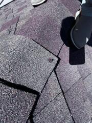 Damaged Shingles