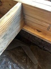 In the subfloor, we completed the sister joists and rim board replacement.