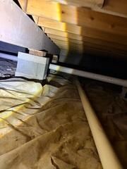 During the inspection, the crawl space was damp and musty with signs of pest activity.