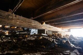 The space contained aging and weakened wood components that needed to be addressed before the crawl space could be properly protected and encapsulated.