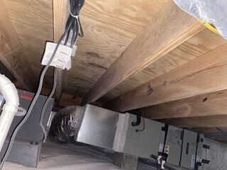 An after image of the mold removed from the wood by the soda blasting technique.