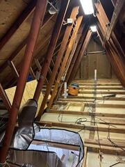 We completely disinfected the attic...
