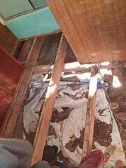 From the subfloor area in the crawl space, we removed the rotten wood and replaced with new wood.