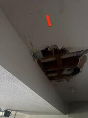 Popcorn Ceiling Repair in Olathe, KS