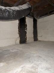 CarbonArmor on walls