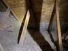 In Home Mold, What to look for - Photo 2