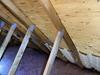 In Home Mold, What to look for - Photo 1