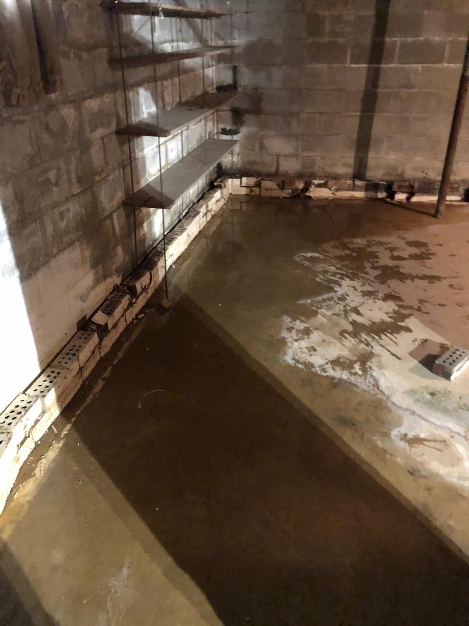 Foundation Repair & Basement Waterproofing Lynchburg, VA Mold Removal