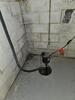 Damp Basement in Oxford, PA - Photo 1
