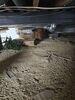 Damp Crawl Space Inspection in Downingtown, PA - Photo 1