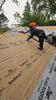 Champlin, MN Roof Replacement: Tree & Storm Damage Repair - Photo 4