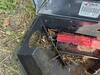 Earwigs Crawling Around Rodent Bait Station in Hillsborough, NJ - Photo 2