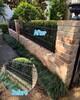 Algae, Mold, & Mildew Removal on Light Brick Siding in Houston, TX - Photo 1