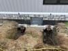 Foundation Repair in Lebanon, Kentucky - Photo 2