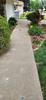 Sidewalk Leveling in Wilton, IA - Photo 1