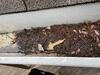 Gutter Shutter Installation in Flower Branch, GA - Photo 1
