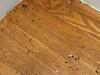 Oven Covering a Hidden Mice Infestation in West Windsor, NJ - Photo 1