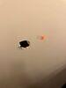 Drywall Repair - Olathe KS - Photo 8