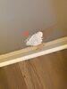 Drywall Repair - Olathe KS - Photo 1