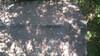 Vienna, Ga Roof Replacement - Photo 6