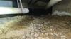 Crawl Space Encapsulation & Dehumidifier in Cedar Hill, TX - Photo 3