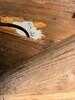 Crawl Space Encapsulation & Mold Remediation in Dallas, TX - Photo 6